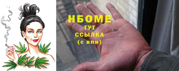 шишки Алзамай