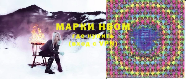 шишки Алзамай