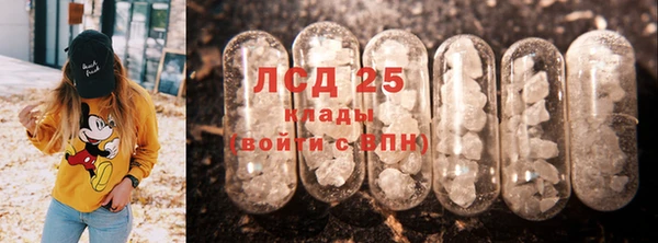 шишки Алзамай