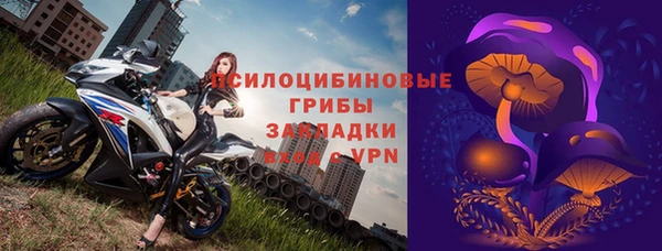 шишки Алзамай