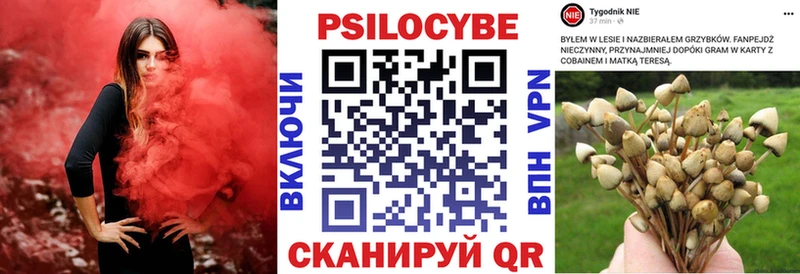 Галлюциногенные грибы прущие грибы  Рубцовск 