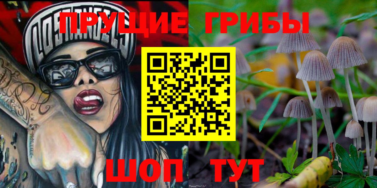 закладки  Вход с VPN  Рубцовск  Псилоцибиновые грибы прущие грибы 