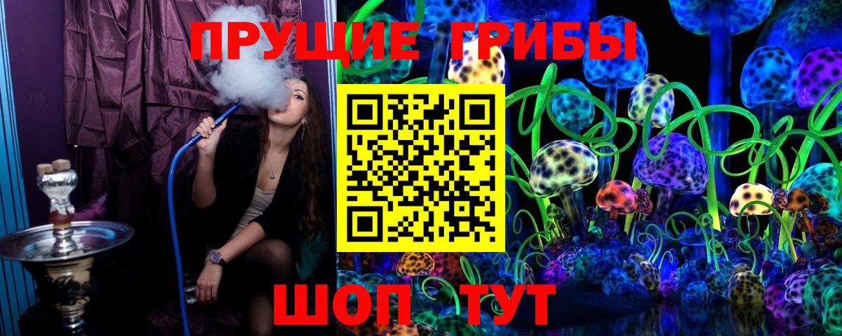 Псилоцибиновые грибы Psilocybine cubensis Рубцовск