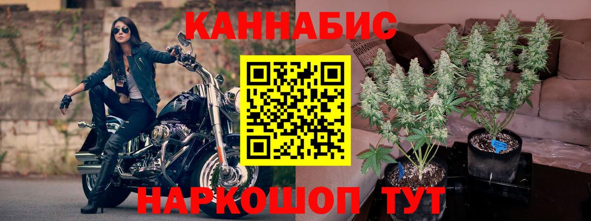 Марихуана план  Каннабис конопля  Шишки марихуана Amnesia  Вход с VPN  Рубцовск 